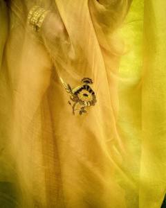 namitha-pramod-in-golden-colour-saree-and-trending-earrings-photos-005