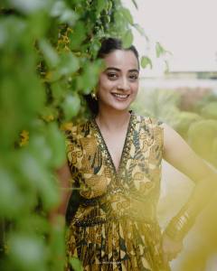 namitha-pramod-in-multicolor-sleeveless-long-dress-004