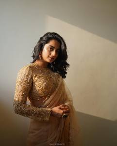 namitha-pramod-in-net-design-saree-photos-002