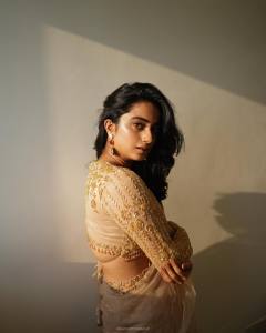namitha-pramod-in-net-design-saree-photos-004