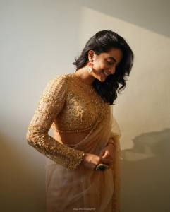 namitha-pramod-in-net-design-saree-photos-006