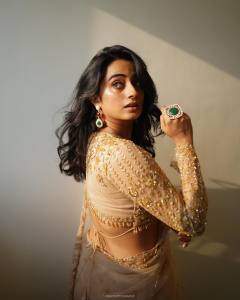 namitha-pramod-in-net-design-saree-photos