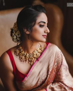 namitha-pramod-new-photos-in-red-kanchipuram-saree