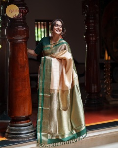 namitha-pramod-new-saree-brand-collection-photos-009