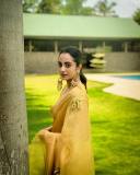 namitha-pramod-in-golden-colour-saree-and-trending-earrings-photos-002