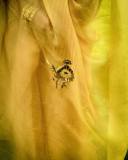 namitha-pramod-in-golden-colour-saree-and-trending-earrings-photos-005