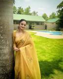 namitha-pramod-in-golden-colour-saree-and-trending-earrings-photos-008