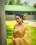 namitha-pramod-in-golden-colour-saree-and-trending-earrings-photos-010