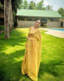 namitha-pramod-in-golden-colour-saree-and-trending-earrings-photos-011