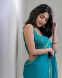 nandana-varma-glamorous-photos-in-saree-008