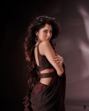 nandana-varma-hot-look-in-saree-photos-001