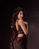 nandana-varma-hot-look-in-saree-photos-002