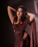 nandana-varma-hot-look-in-saree-photos-010