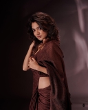 nandana-varma-hot-look-in-saree-photos-013