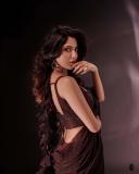 nandana-varma-hot-look-in-saree-photos