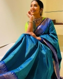 navya-nair-latest-pictures-in-saree-017