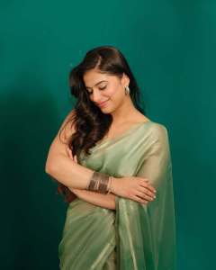 nayanthara-chakravarthy-in-saree-photos-latest-004