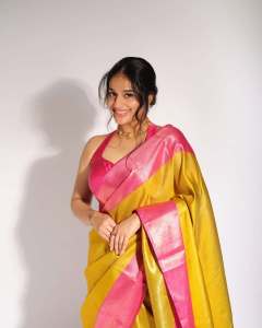 nayanthara-chakravarthy-in-saree-photos-latest-010