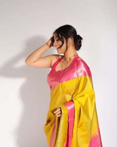 nayanthara-chakravarthy-in-saree-photos-latest-011