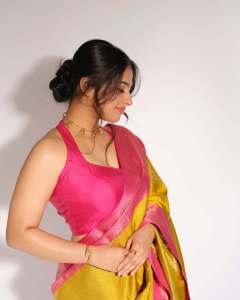nayanthara-chakravarthy-in-saree-photos-latest-012