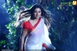 nayantara_latest_pictures_-00324