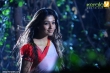 nayantara_latest_pictures_-00470