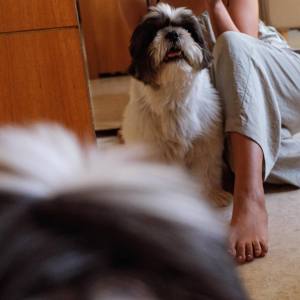 1_nazriya-fahadh-with-her-pet-ore-latest-photos-004