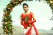 nazriya-nazim-latest-photos-00166