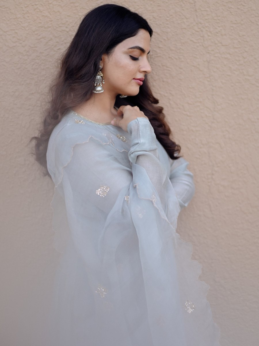 nikhila-vimal-in-pastel-gray-traditional-Indian-Anarkali-set-photos-005