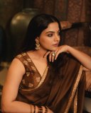 nikhila-vimal-in-lightweight-chocolate-brown-saree-with-sleeveless-blouse