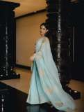 nikhila-vimal-in-lightweight-pastel-aqua-saree-with-sleeveless-V-neck-fitted-blouse-photos-006