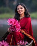 nikhila-vimal-in-maroon-saree-look-photos-001
