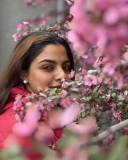 nikhila-vimal-latest-photos-in-the-middle-of-flowers-001