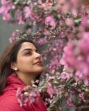 nikhila-vimal-latest-photos-in-the-middle-of-flowers-003