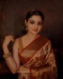 nikhila-vimal-in-kanchivaram-pattu-sarees-with-designer-blouse-photos