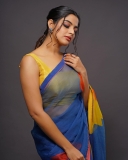 nikhila-vimal-in-multi-colour-saree-photos-001