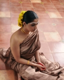 nikhila-vimal-latest-photoshoot-in-damayanthi-look