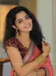 nikhila-vimal-latest-saree-images-091241
