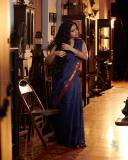 nikhila-vimal-new-photos-in-saree-photos