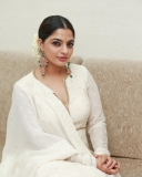 nikhila-vimal-saree-look-photos-005