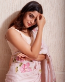 nikhila-vimal-saree-look-photos