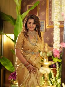 nikki-galrani-in-golden-saree-look-wedding-function-photos-002
