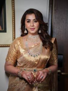 nikki-galrani-in-golden-saree-look-wedding-function-photos