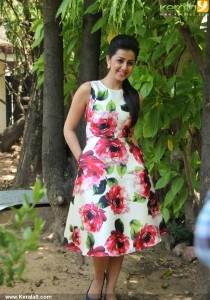 nikki-galrani-latest-photos-100-01218
