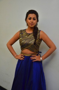nikki-galrani-latest-photos-101-00258