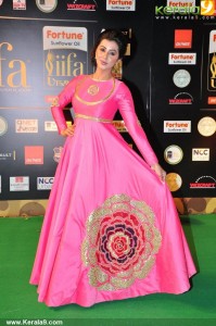 nikki-galrani-latest-photos-20031