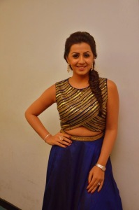 nikki-galrani-latest-pictures-540-00376