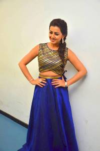 nikki-galrani-pictures-453-0029