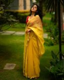 nimisha-sajayan-latest-photos-in-yellow-saree-with-red-blouse-by-Salt-Studio-007