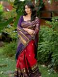 niranjana-anoop-in-violet-and-red-pattu-saree-with-simple-blouse-design-ideas-photos-004